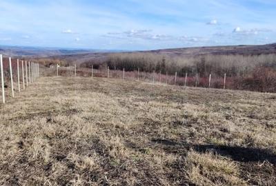 Teren Construcții intravilan de 4352 mp, în Chinteni - 2