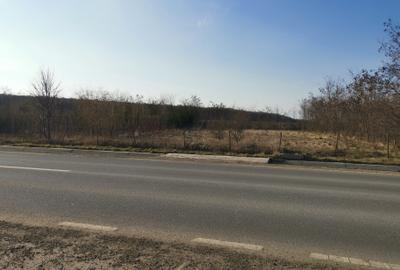 Teren Construcții intravilan de 1400 mp, în Periferie - 2