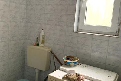 Casă cu 4 camere cu Teren 3113 Mp în Otelec - 15