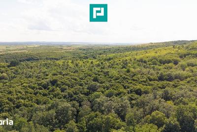 Teren de 22900 mp, în Central - 7