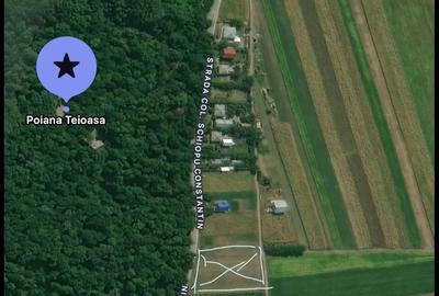 Teren de 2050 mp, în Central