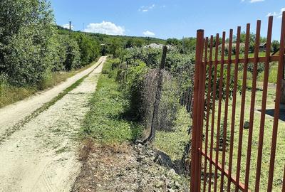 Teren de 604 mp, în Călinești