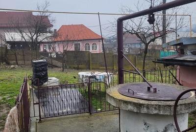 Casă cu Teren 2536 Mp în Peșteana-Jiu - 2