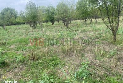 Teren de 8100 mp, în Mărtinești - 6