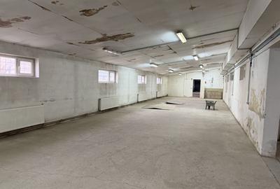 Spațiu industrial, de 1,725 mp, în Giarmata - 15