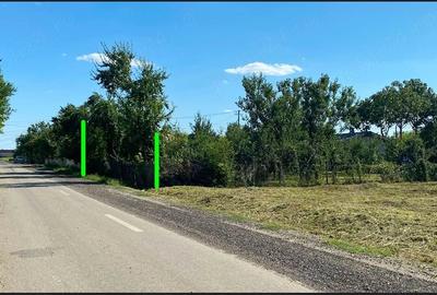 Teren de 560 mp, în Tăriceni