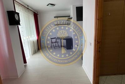 Garsonieră semidecomandată în Valea Ialomiței - 7