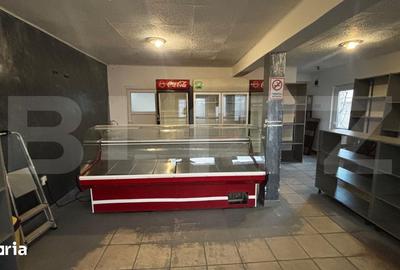 Casă cu 4 camere cu Teren 462 Mp în Craiovița Nouă - 15