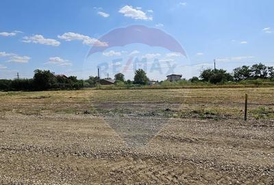 Teren Construcții intravilan de 490 mp, în Postăvari - 2