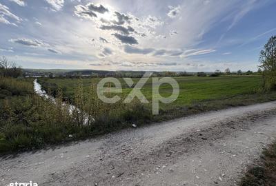 Teren de 20000 mp, în Budeasa