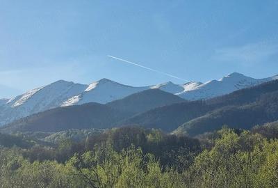 Teren de 2500 mp, în Central - 5