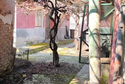 Casă cu Teren 300 Mp în Gheorghe Doja - 10