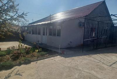 Casă cu Teren 707 Mp în Burila Mare