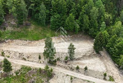 Teren Construcții extravilan de 18000 mp, în Exterior Sud - 38