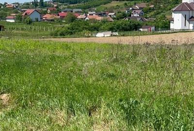 Teren de 6680 mp, în Ortelec - 2