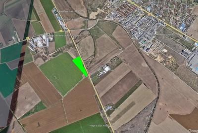 Teren de 3000 mp, în Tomis Plus - 5