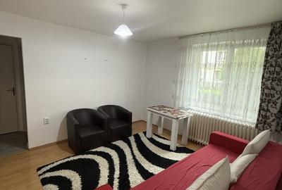 Apartament cu 2 camere semidecomandat în Dosu Bricii - 5