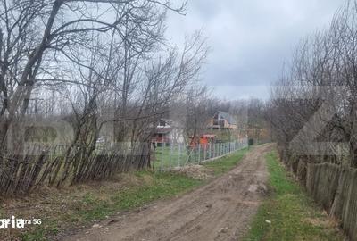 Teren de 3781 mp, în Izvoarele - 7