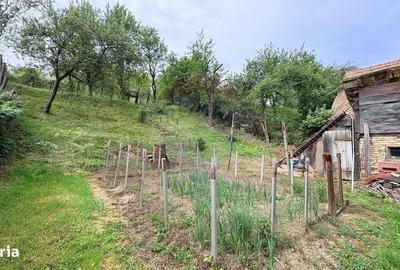 Casă cu 2 camere în Richiș - 11