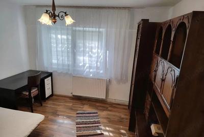 Garsonieră decomandată în Dâmbu Pietros - 3
