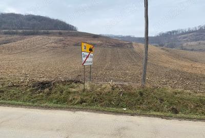 Teren de 5800 mp, în Șaroș pe Târnave