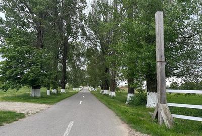 Teren de 11300 mp, în Balta Doamnei - 5