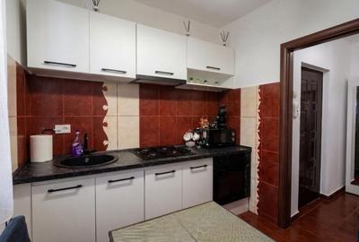 Apartament cu 2 camere semidecomandat, mobilat în George Enescu - 4
