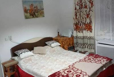 Casă cu 4 camere cu Teren 1018 Mp în Moțăieni - 9