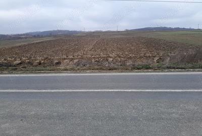Teren în Liubcova - 2