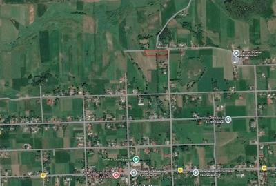 Teren de 4379 mp, în Dumbrăvița