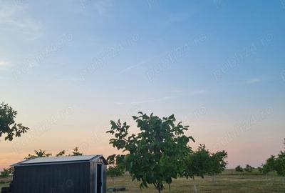 Teren de 10000 mp, în Livada - 4