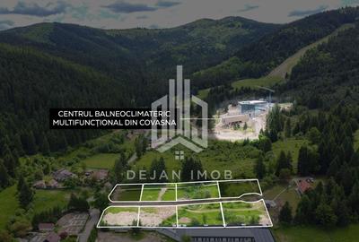 Teren Construcții intravilan de 784 mp, în Sud - 1