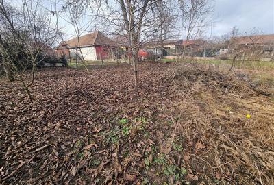 Casă cu 4 camere cu Teren 300 Mp în Sâncraiu de Mureș - 10