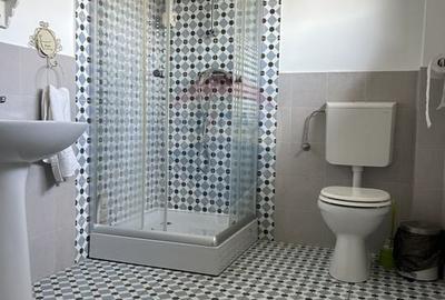 Proprietate specială, de 850 mp, în Dumbrăveni - 11
