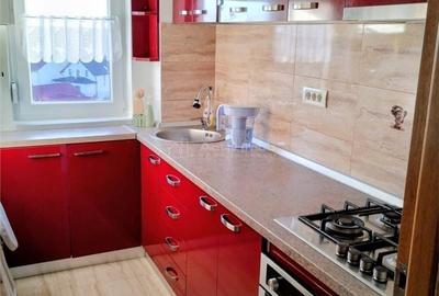 Apartament cu 2 camere în Șega - 8
