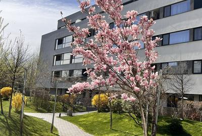 Apartament cu 3 camere semidecomandat în Străulești - 16
