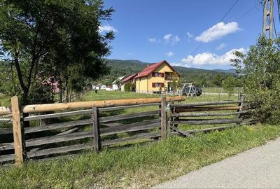 Teren de 2463 mp, în Băile Borșa - 13