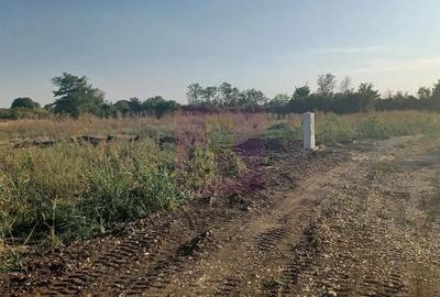 Teren de 500 mp, în Săbăreni