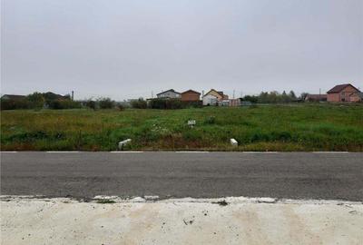 Teren în Frumușeni - 2