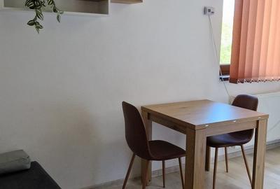 Apartament cu 2 camere nedecomandat în Palat - 3