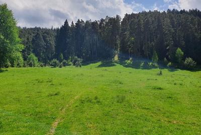 Teren Construcții intravilan de 5000 mp, în Săcele - 6