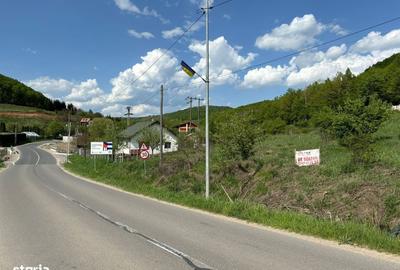 Spațiu comercial, în Sălicea