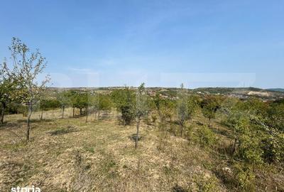 Teren de 5800 mp, în Central