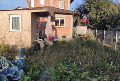 Casă cu Teren 1153 Mp în Nicolae Bălcescu - 2