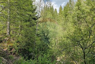 Teren agricol intravilan de 4048 mp, în Periferie - 23