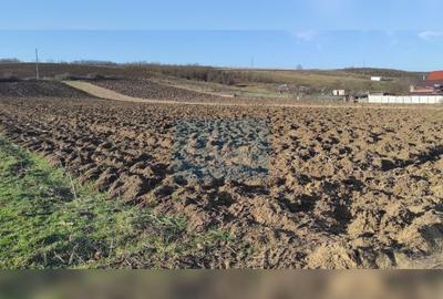 Teren intravilan de 7800 mp, în Livada (Iclod)
