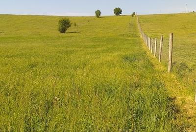 Teren de 18000 mp, în Feldioara - 7