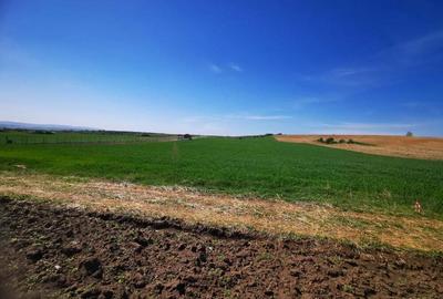 Teren de 2900 mp, în Rediu - 3