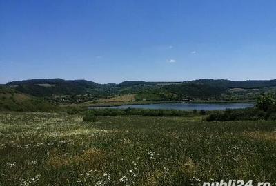 Teren în Săcălaia - 8