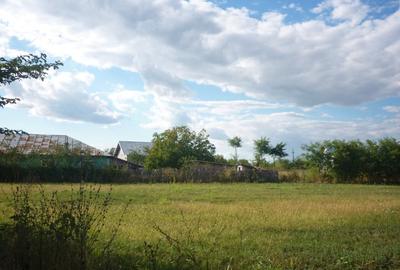 Teren Construcții intravilan de 5000 mp, în Periș - 2